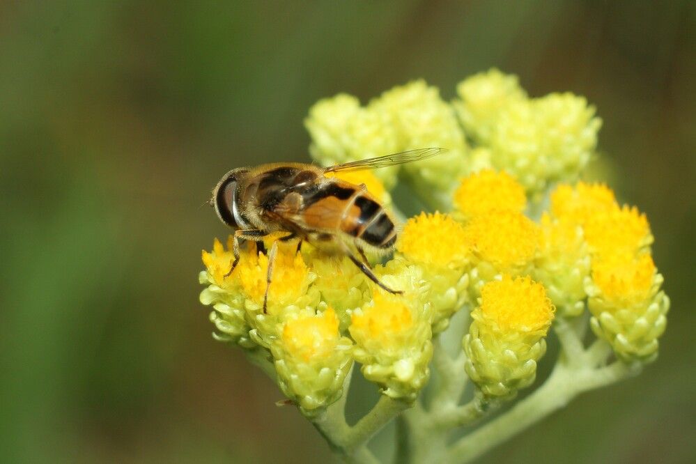 Фотография автора Геннадий Титов