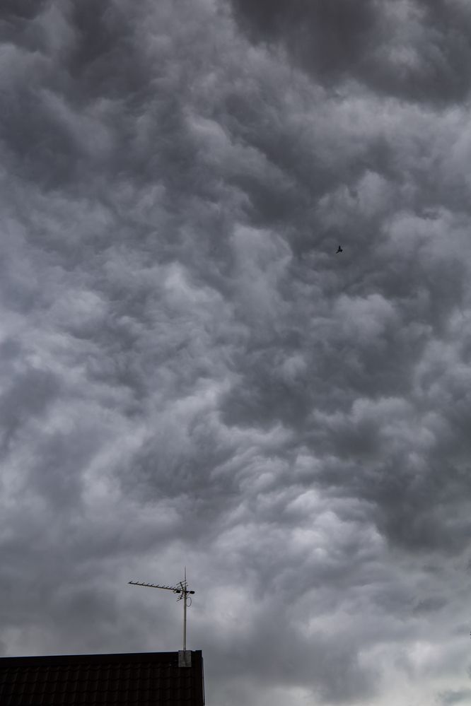 Photograph by Светлана Карнаух