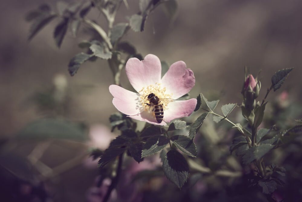 Photograph by Константин Громов