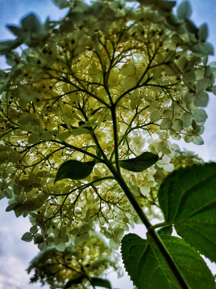 Photograph by Елена Артёменко