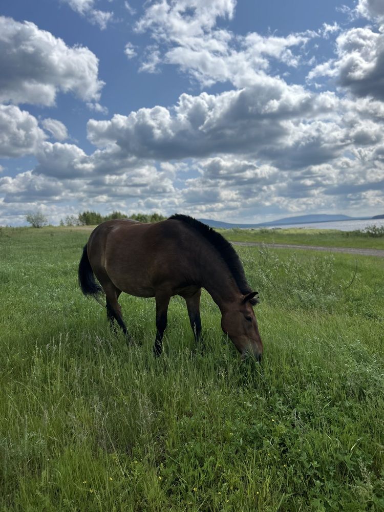 Photograph by Анна Киселева