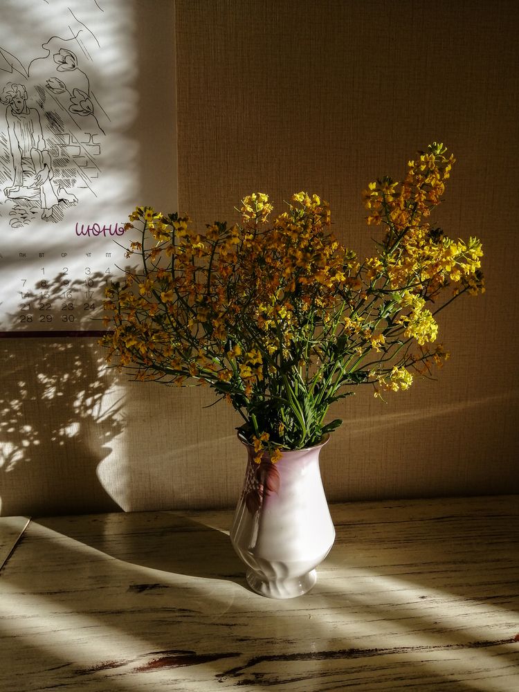 Photograph by Виталий Са