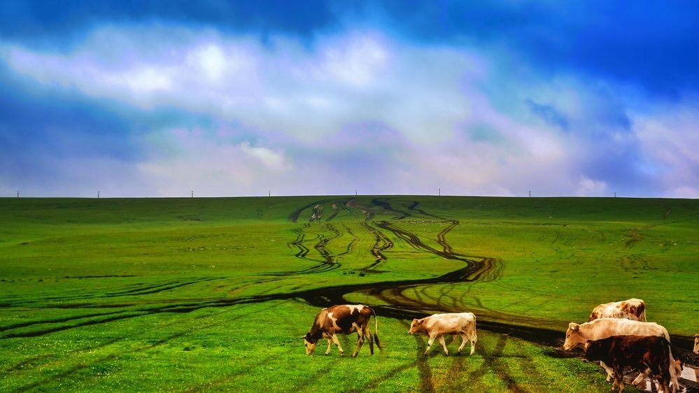 Photograph by Медведева Елена