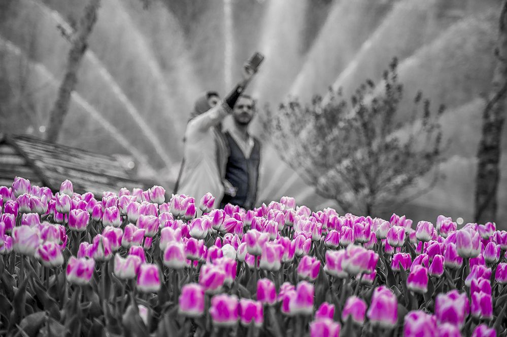 Photograph by DAMOUN POURNEMATI