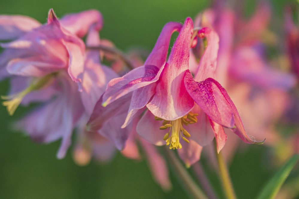 Photograph by Надежда Михайлина