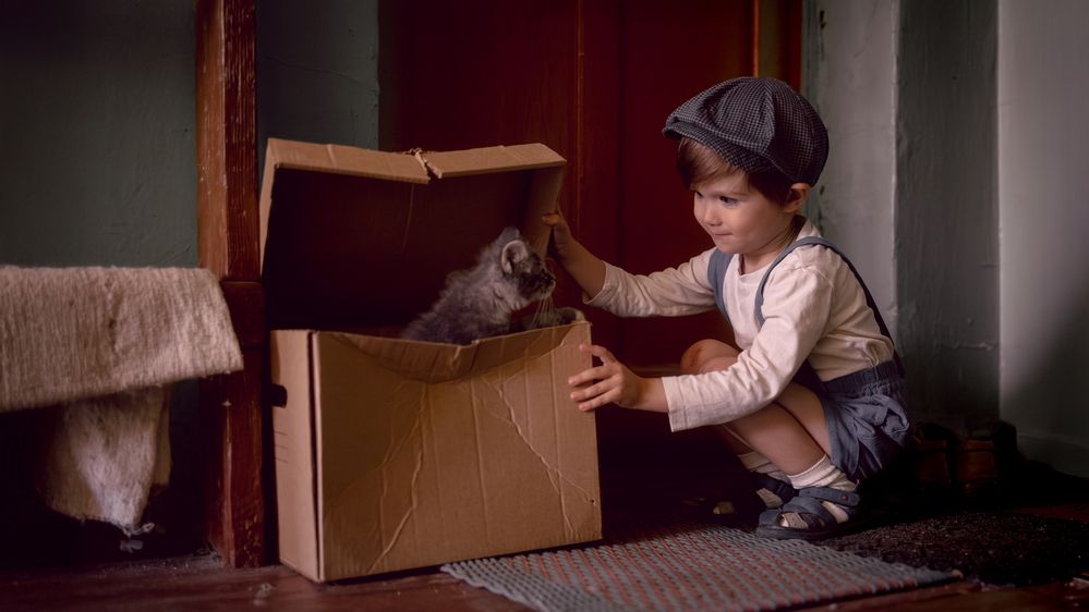 Фотография автора Рядчикова Екатерина