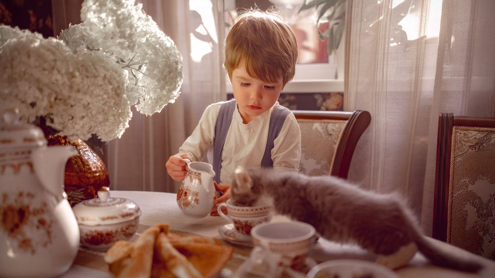 Фотография автора Рядчикова Екатерина