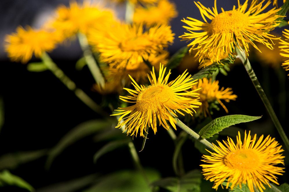 Photograph by Алексей Кацан