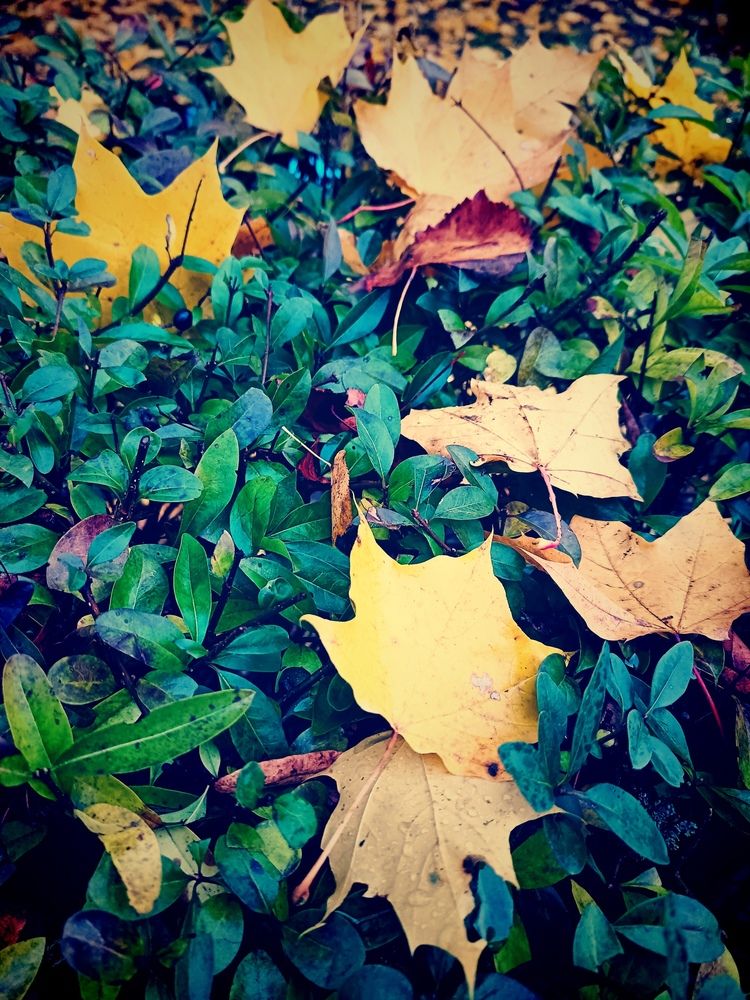 Photo #12503363
