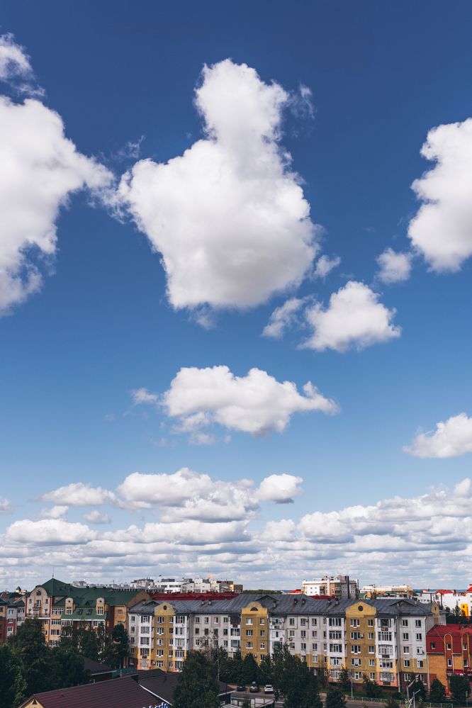 Фотография автора Мария Шишкина