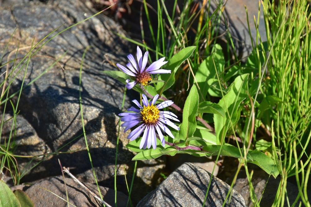 Photograph by Нина Кольман