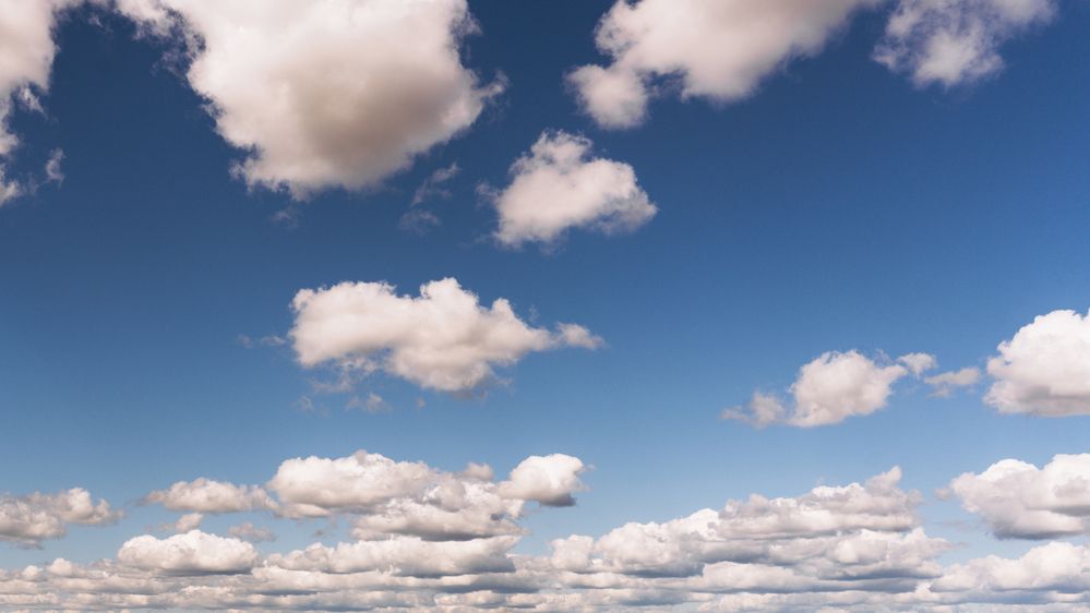 Фотография автора Мария Шишкина