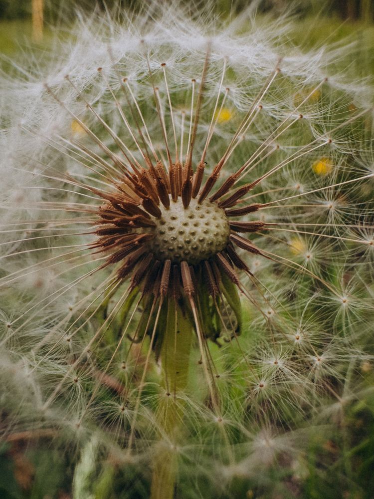 Фотография автора Анна Рыжикова