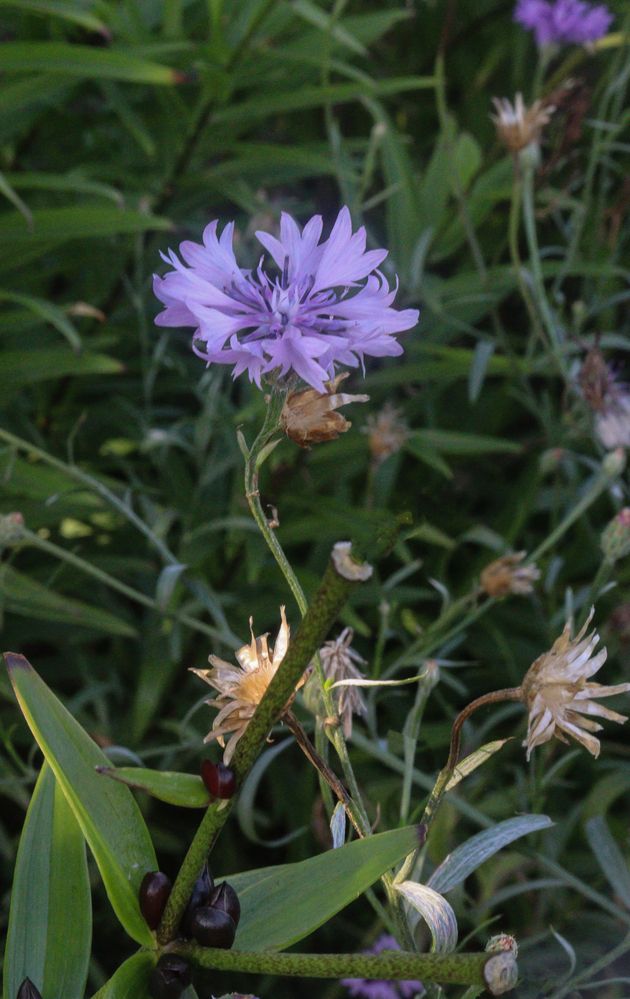 Photograph by Марина Тимонова