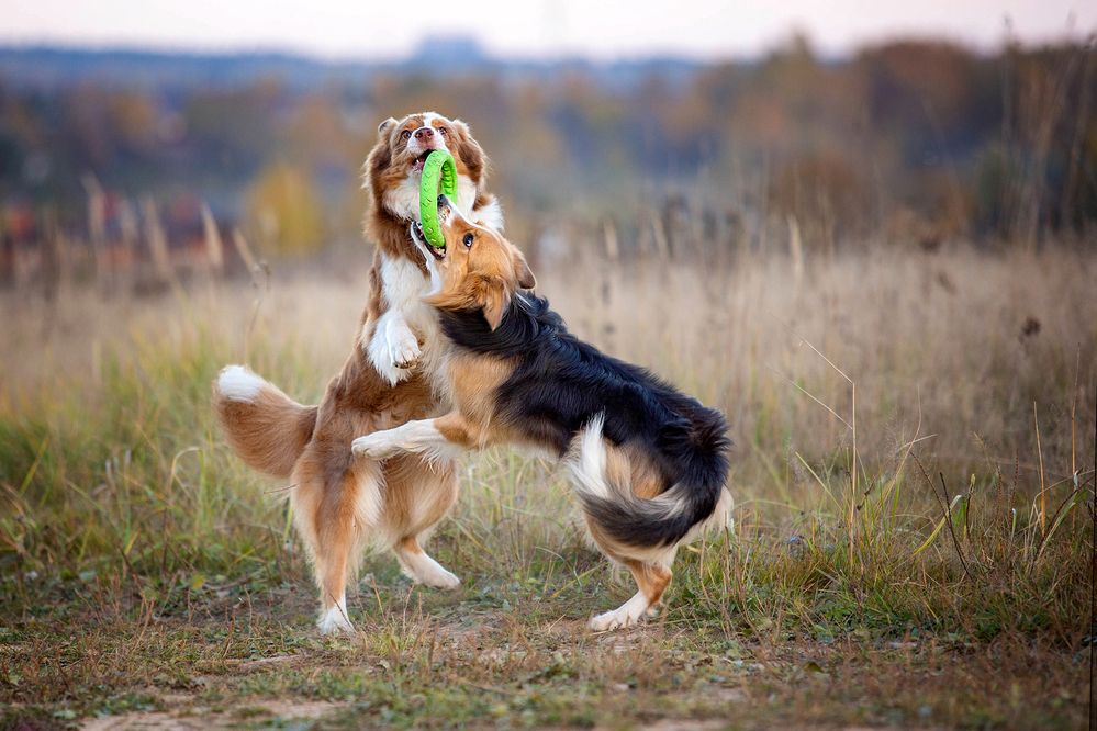 Фотография автора Ольга Кузина