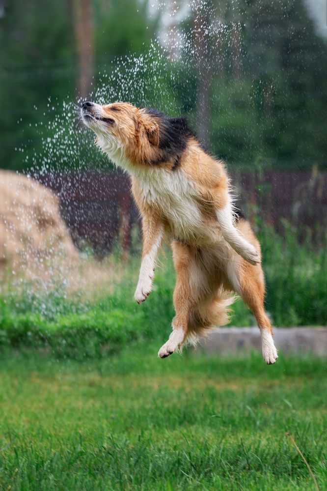 Фотография автора Ольга Кузина