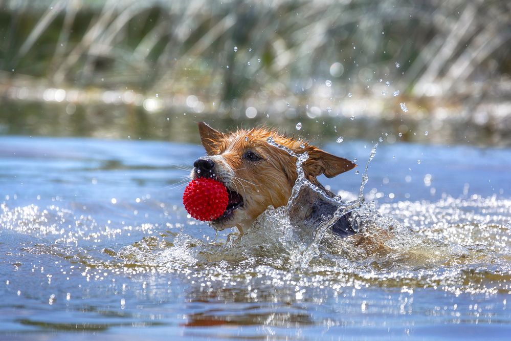 Фотография автора Ольга Кузина