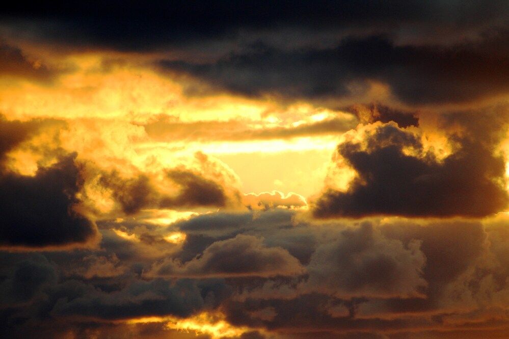 Photograph by 