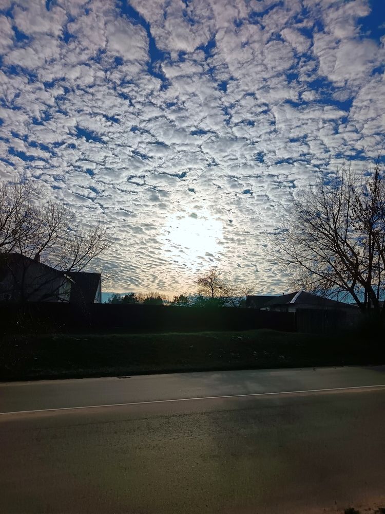 Photo #12503433