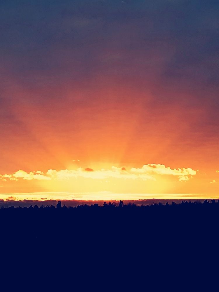 Photo #12503435