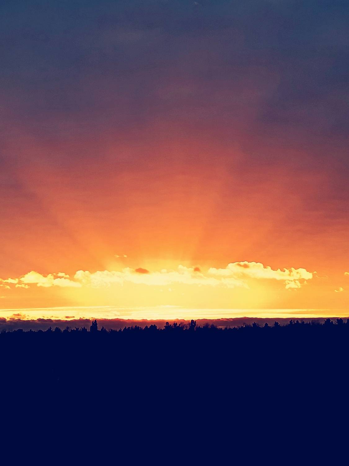 Photo #12503435