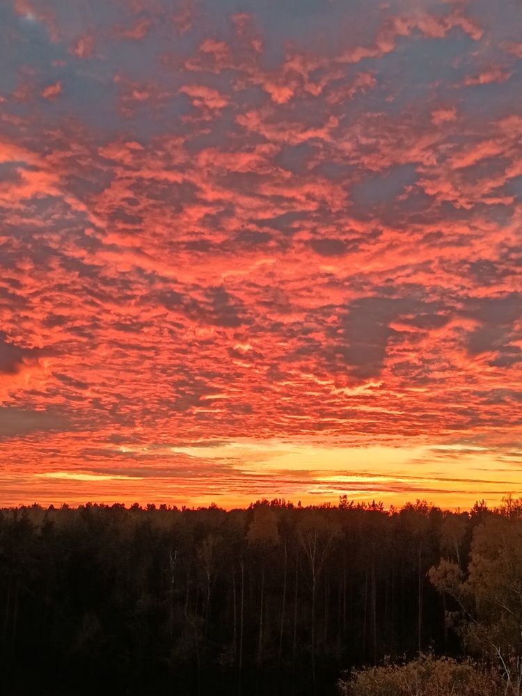Photo #12503436