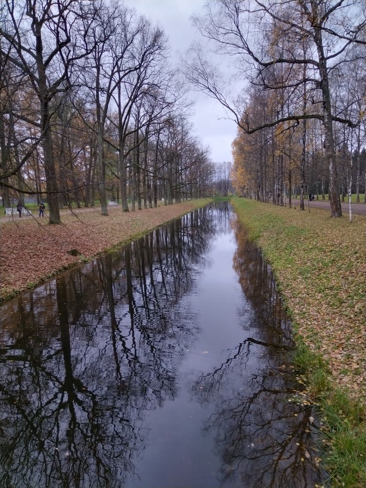 Photo #12503440
