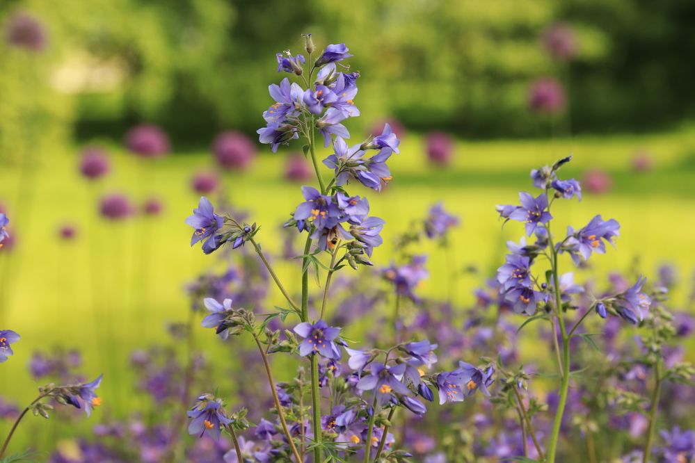 Photograph by Елена Николаева