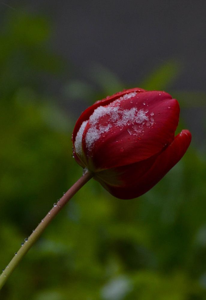 Photograph by Максим Шевченко