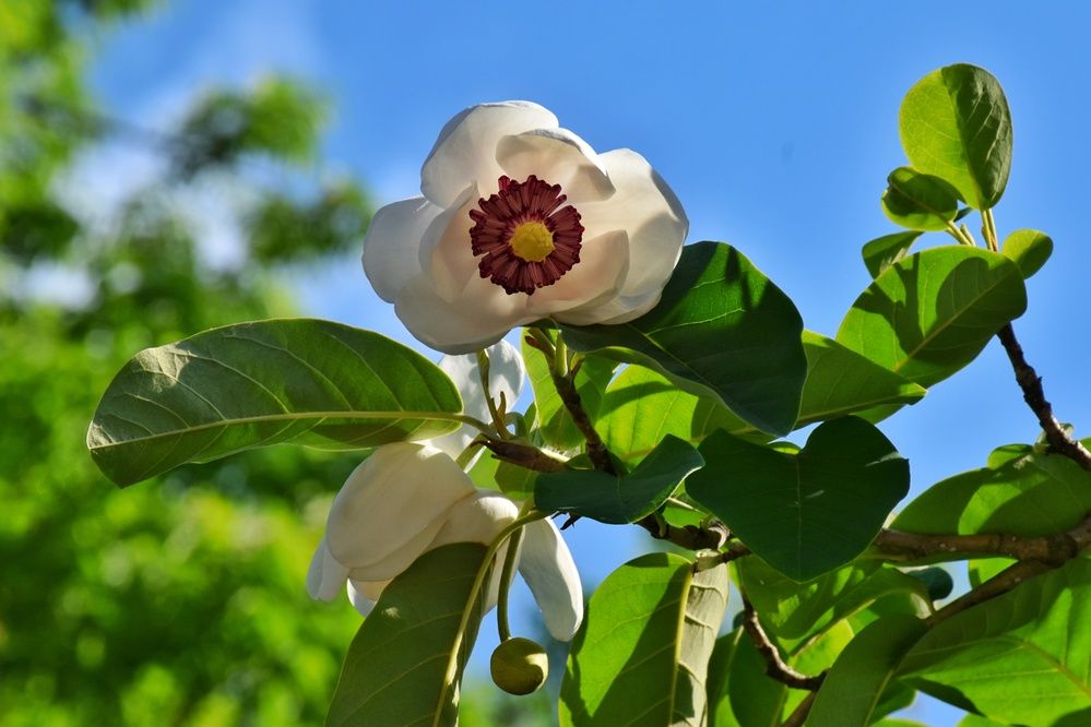 Photograph by Нина Кольман