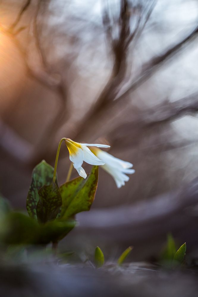 Photograph by Илья Михеев