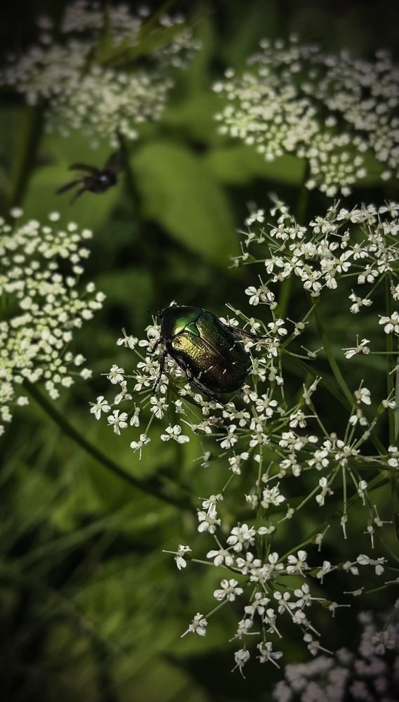 Photograph by Наталья Чехова