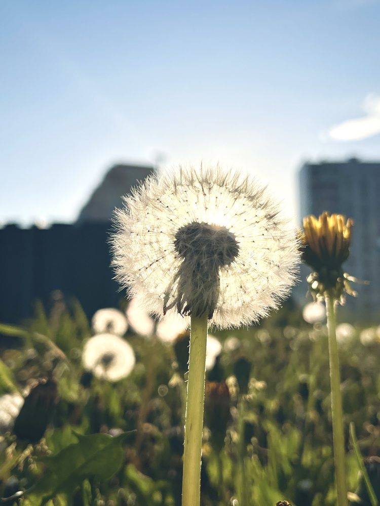 Фотография автора Марина