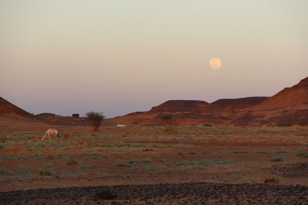 Photograph by Anna Perevozchikova