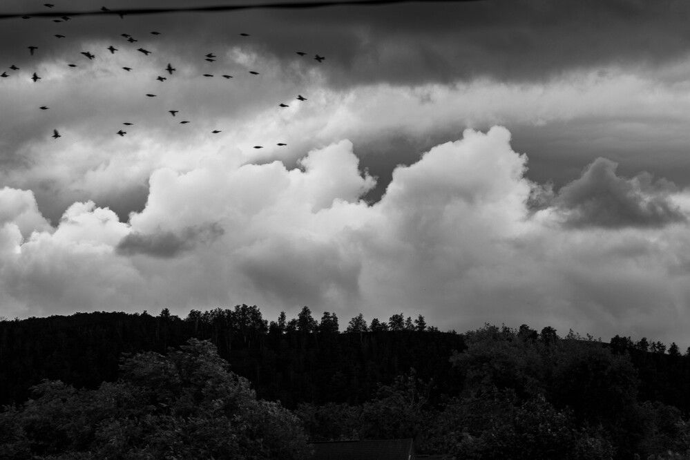 Photograph by Максим Шевченко