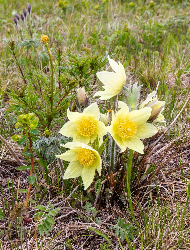 Photograph by Виктор Калинский