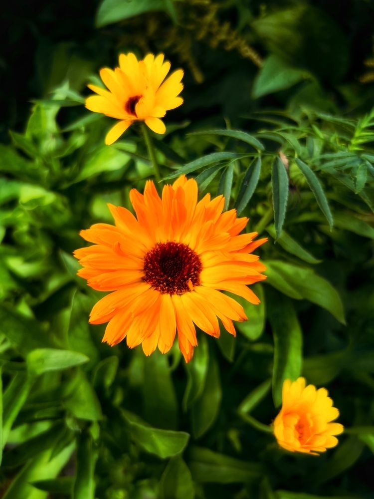 Фотография автора Анастасия