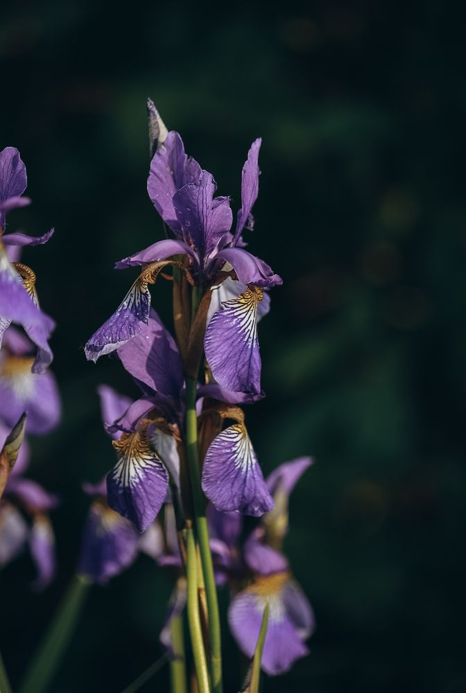 Photograph by Ригина Айдель