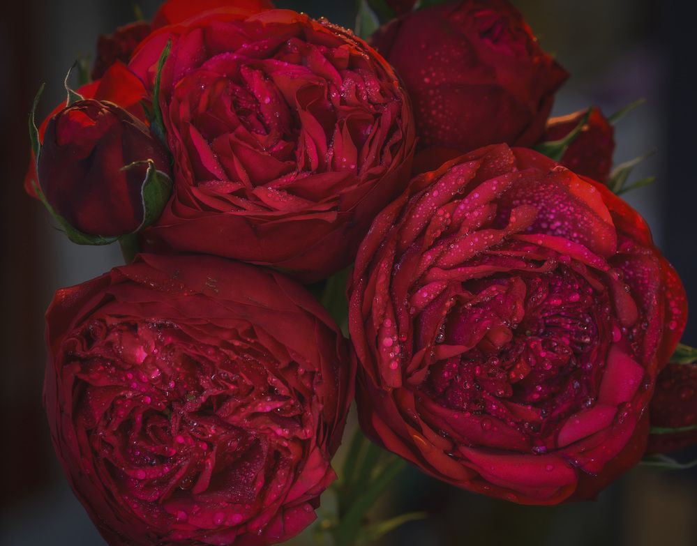 Photograph by Армашов-Тельник Григорий