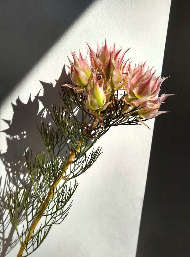 Photograph by Оксана Лоншакова