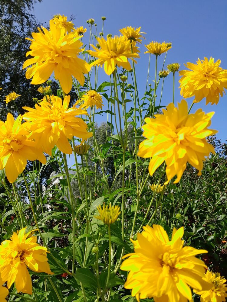 Photograph by Виталий Глазачев