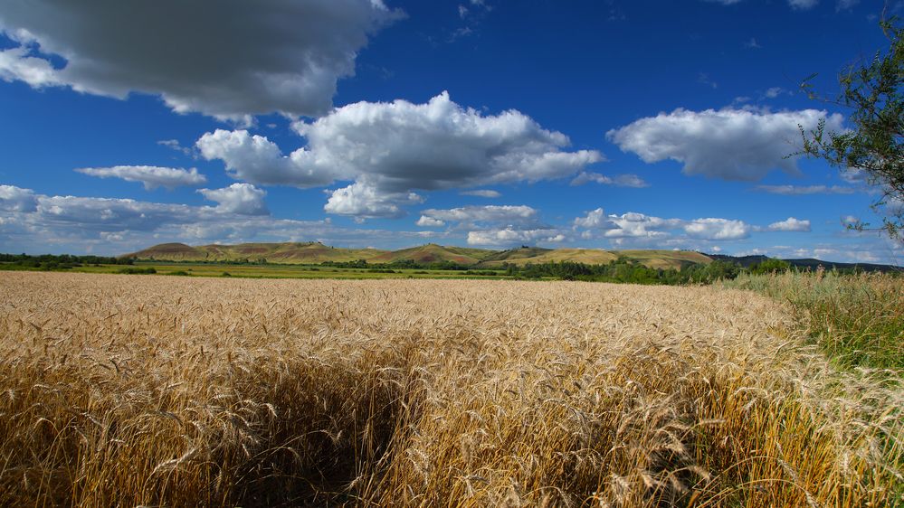 Photograph by Михаил Силантьев