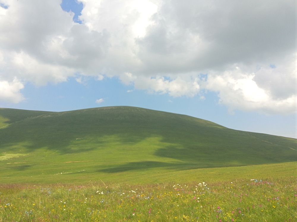Заставка