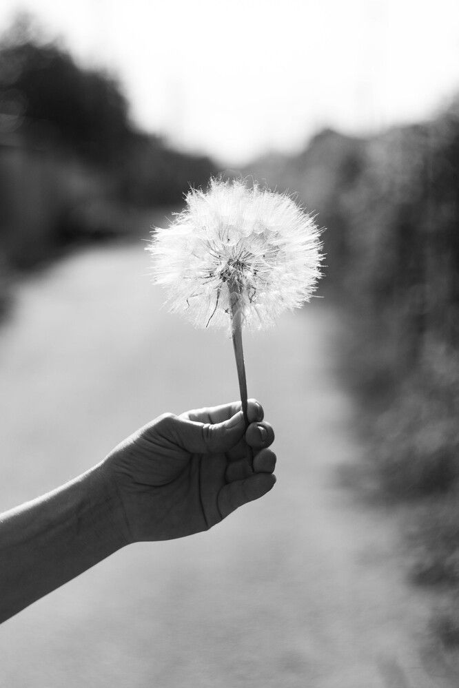 Photograph by Максим Шевченко