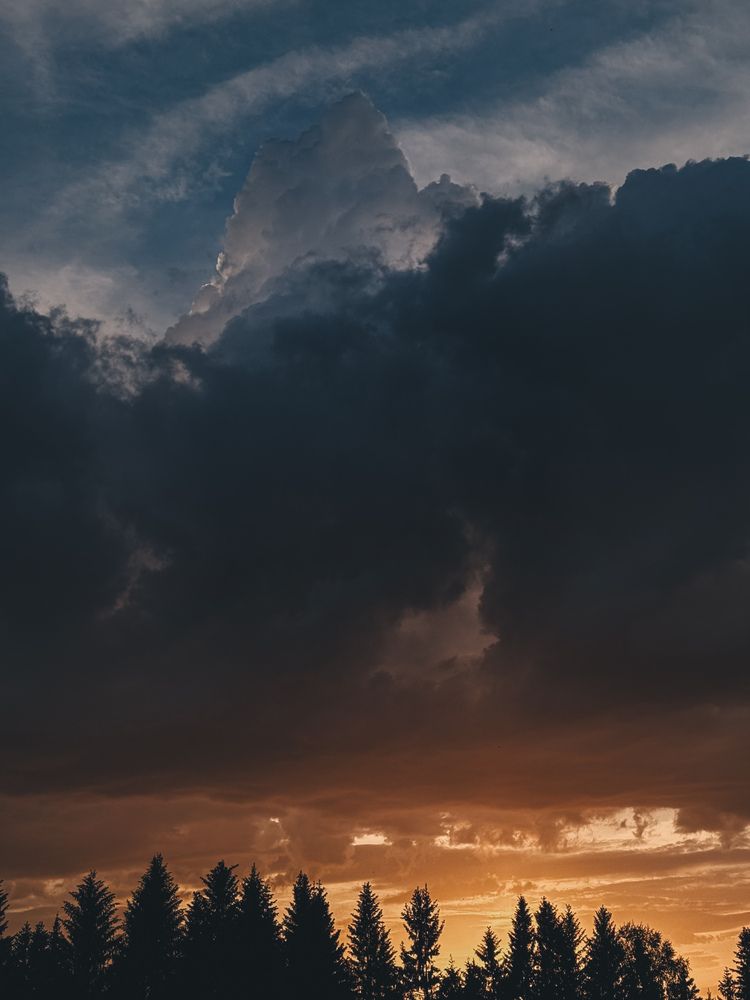 Photograph by Ольга