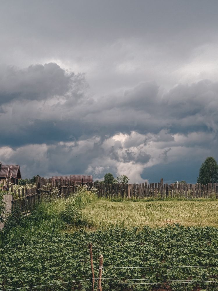 Photograph by Ольга