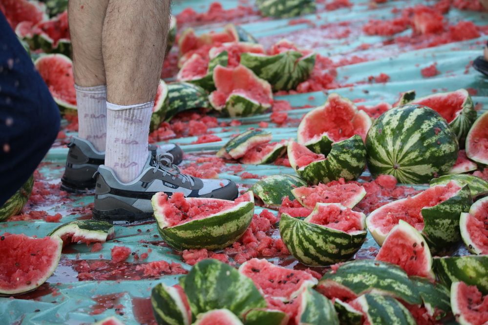 Photograph by Elena Ovsannikova