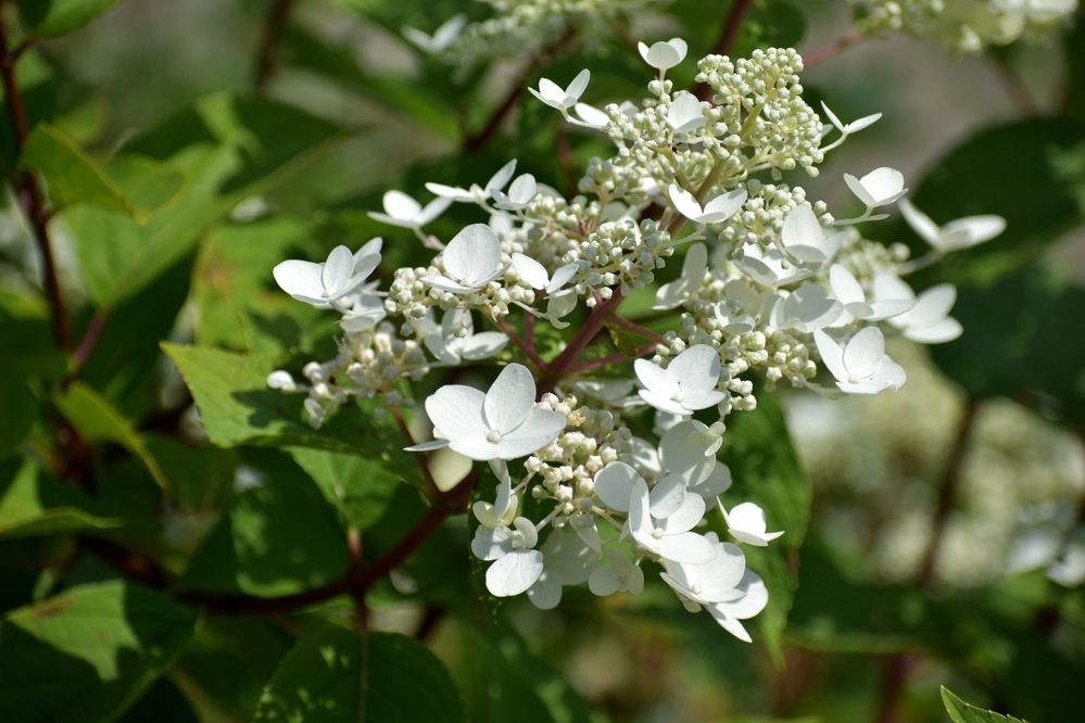 Фотография автора Дмитрий Лазаренко