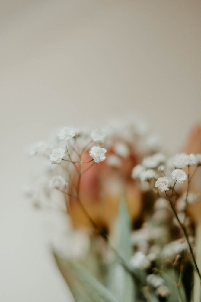 Photograph by Tatiana Potapenko