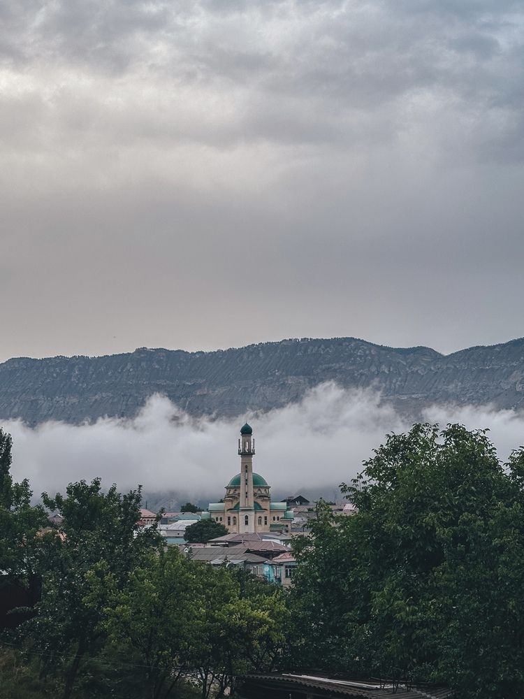 Photograph by Polina Pisar